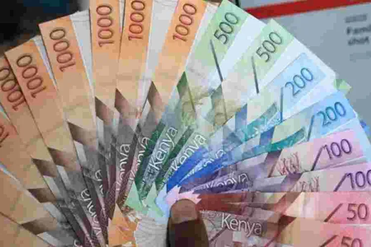 17 Million Kenyans Borrow Sh10.6 Billion from the Hustler Fund 
