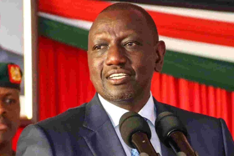 President Ruto: Over 11,000 Youths to be Hired to Plant 1.5 Million Trees in Nairobi