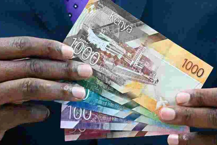 Kenyans Borrow Sh408 Million from Hustler Fund in Less Than 24 Hours 
