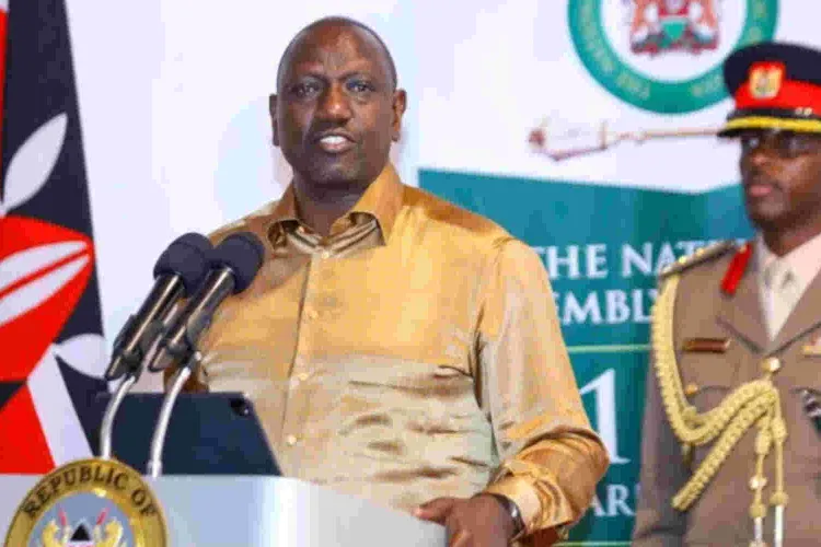President Ruto Says Tax Evaders are Sponsoring Raila’s Public Rallies