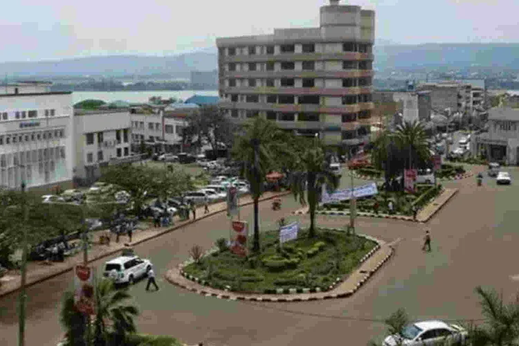 Kisumu Hotel and Lodging Owners Put on Notice over Bedbug, Rat Infestation 