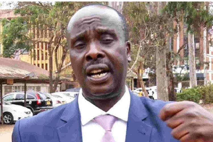 Lawyer Danstan Omari Summoned by DCI over Fake Matiangi House Raid Alert