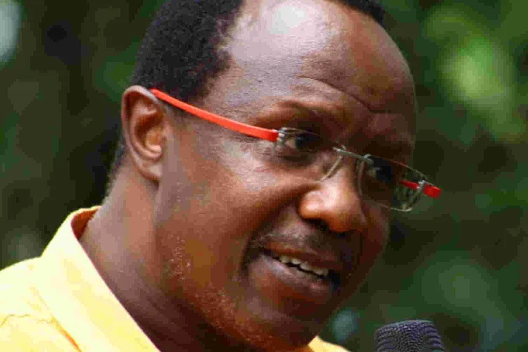 Ruto’s Chief Advisor David Ndii to Kenyans: We Did Not Promise Cheap Power