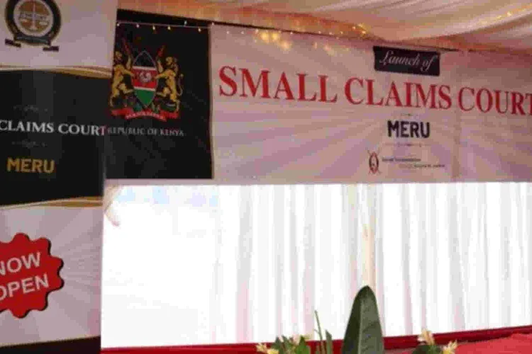 Magistrate Says Small Claims Court Cannot Handle Cases of Women Who 'Eat Fare'