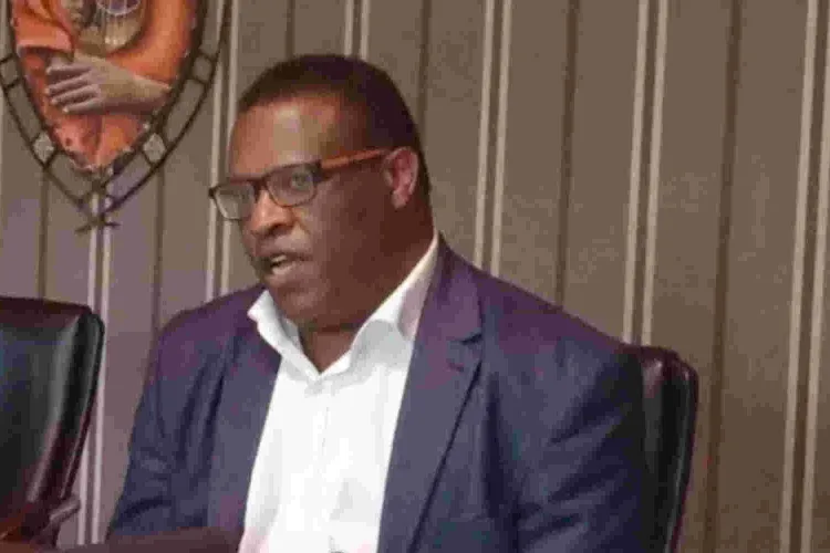 Billionaire Paul Ndungu’s Residential Property in Gigiri Put Up for Auction 