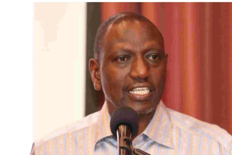 Ruto Pledges to Reduce Cost of Cooking Gas to Sh300 by June