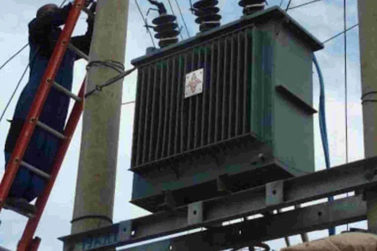 Kenyan Restaurant Owner Jailed for Using Transformer Oil to Fry Potato Chips 