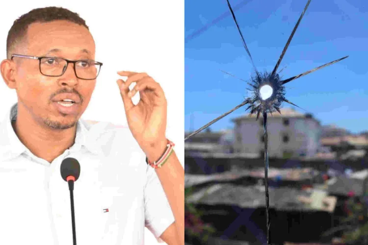 My Life is in Danger, Nyali MP Mohammed Ali Says 