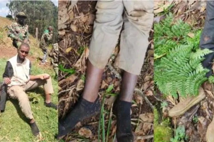 IPOA Probes Controversial Shooting of Two Suspected Bank Robbers in Murang'a