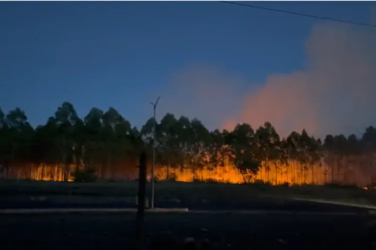 Fire Breaks Out at Kenyatta Family’s Land, Hours After Raid by Goons
