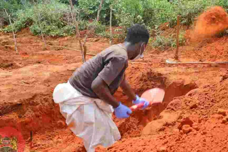 Pastor Mackenzie Starvation Cult: 11 Bodies Exhumed, Raising Death Toll to 109