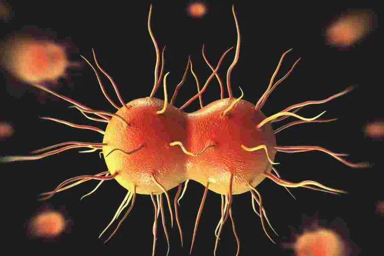 Alarm as Kenya Scientists Discover New Strains of Gonorrhea and Chlamydia