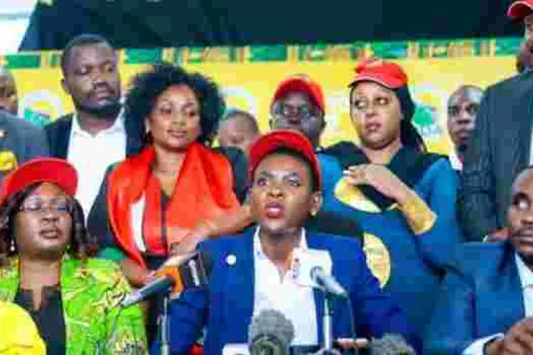 Business People to Own Firearms Should Ruto Heed Ally Advice