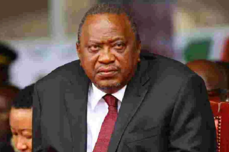 Ruto's Big Frustration as a Section of Mt Kenya UDA Politicians Shun Onslaught Against Uhuru 