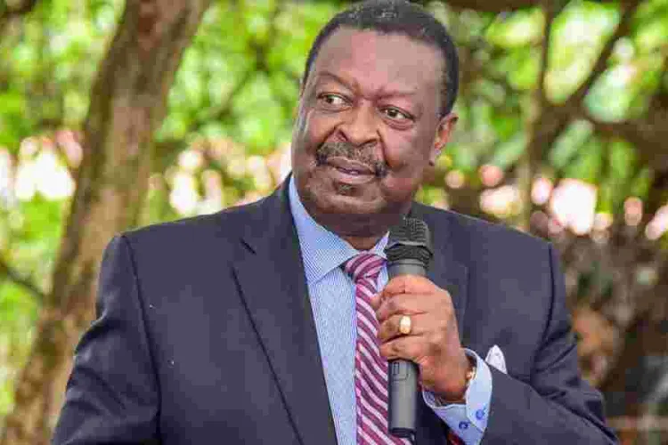 Ruto Selects Mudavadi to Represent Him at Tinubu's Swearing-in on Monday