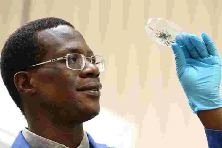 Kenyan Professor Recognized for Academic Excellence in the UK