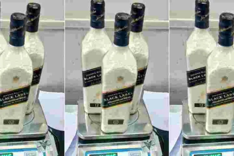 Two Kenyan Women Arrested in India With Cocaine Worth Sh510 Million