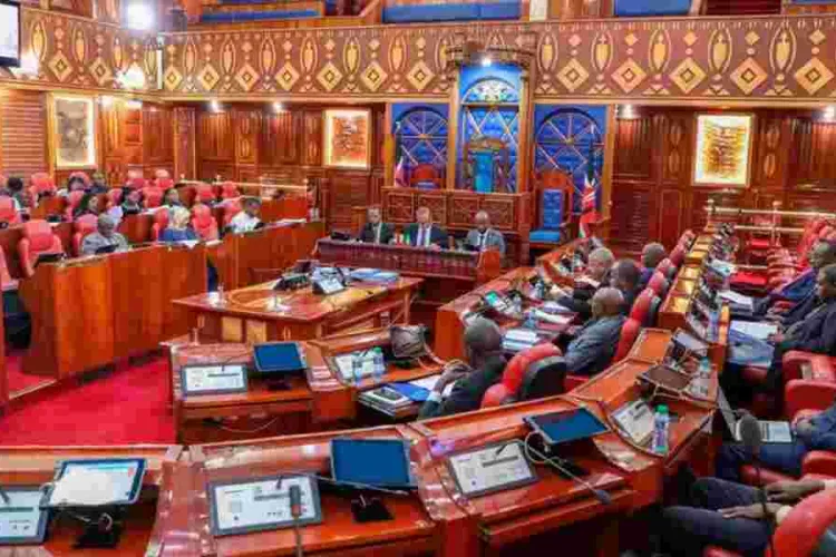 Senators Support Enhanced Salary for MCAs, Taxpayers to Cough up Sh10.4Bn Extra Annually
