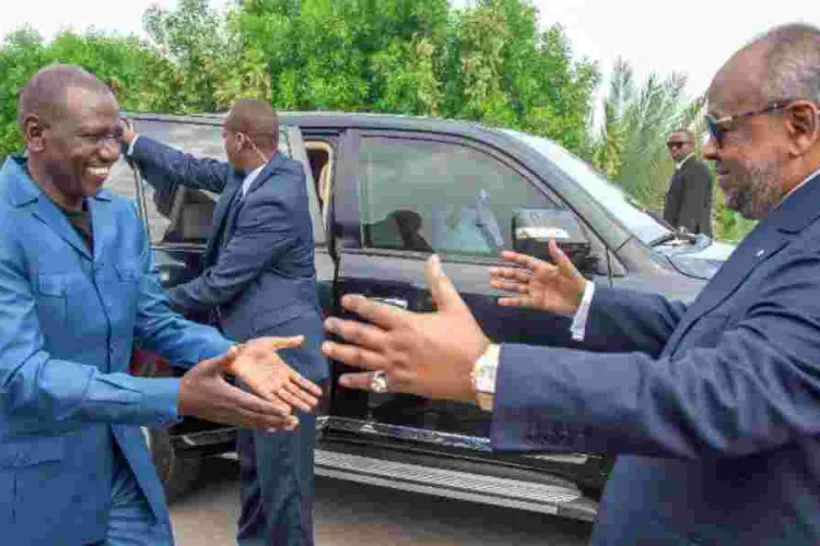 Kenya Offers 300 Slots for Djiboutians to Study in Local Universities