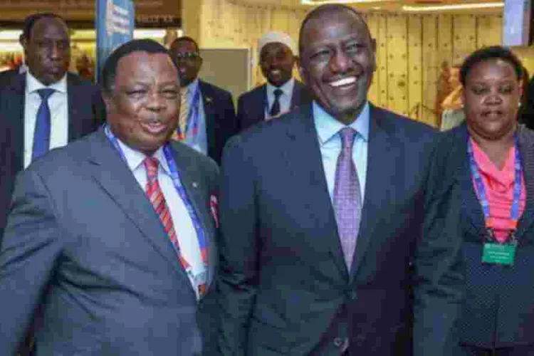 I'm Keen to Create Jobs for Youths, Ruto Tells Diaspora 