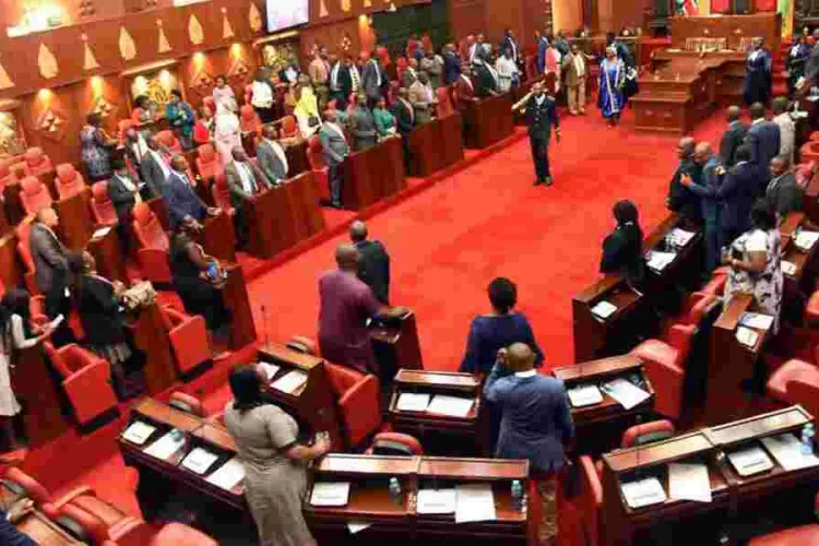 Drunk Drivers Should Work in Morgue as Punishment, Nairobi MCA Suggests 