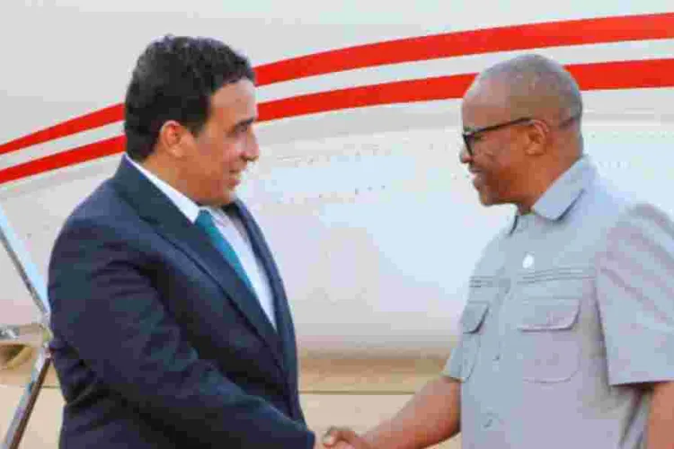Over 10 Presidents Jet into Kenya to Attend AU Meeting 