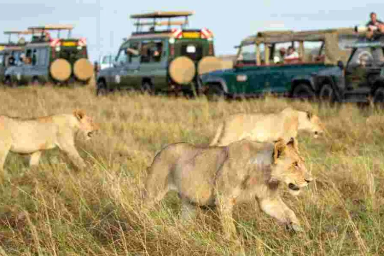 Kenya Ranked Among Top Destinations Worldwide by UK Citizens