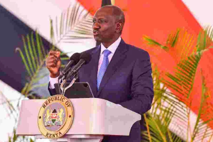 President Ruto Releases Sh2,500 Fertiliser to Farmers