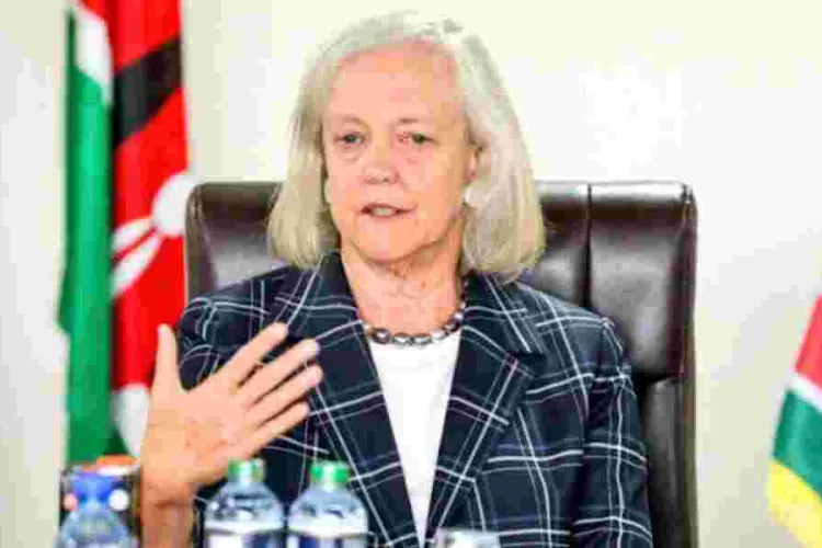 Kenya is the Best Investment Hub in Africa, US Envoy Meg Whitman Says