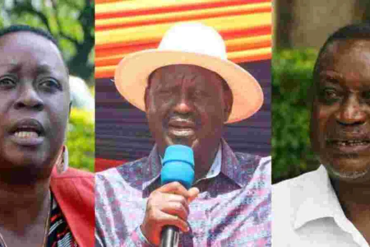 Ruth Odinga: No One is Fit to Fill Raila's Big Shoes, Yet