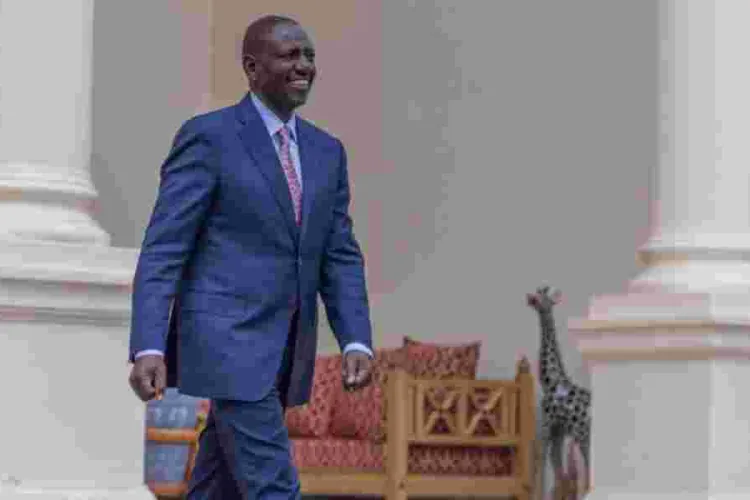 Uproar as Ruto Ally Seeks to Increase Presidential Term Limit 
