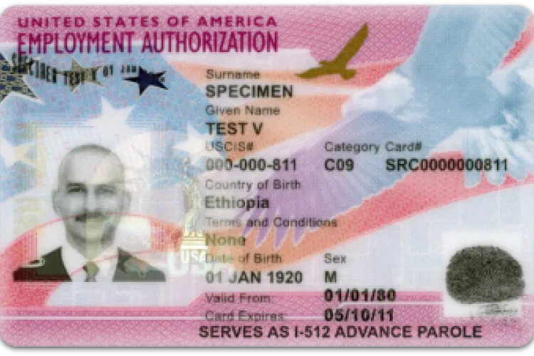 US Immigration Increases Validity Period of Some Employment Authorization Documents to 5 Years