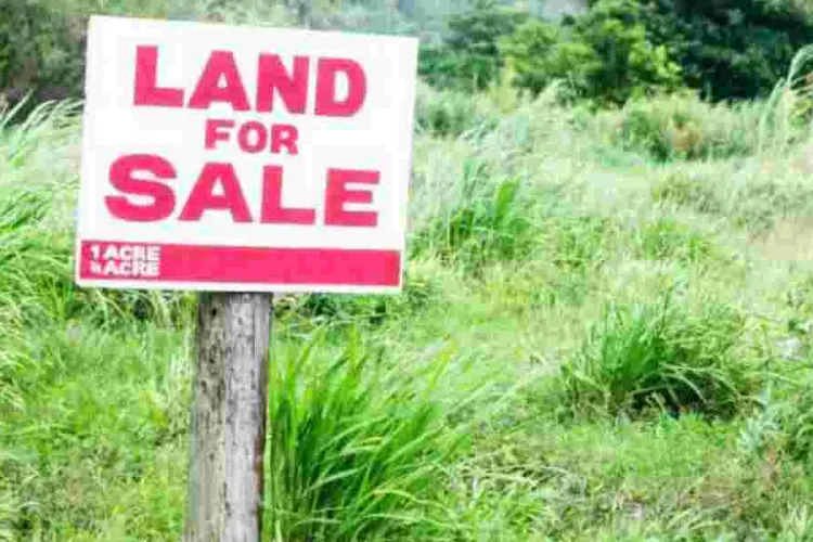 What to Do When the Government Acquires Your Land Compulsorily