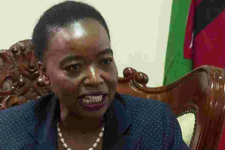 Bodyguards of Ruto's Security Advisor Monica Juma Attacked by Gunman in Mwingi