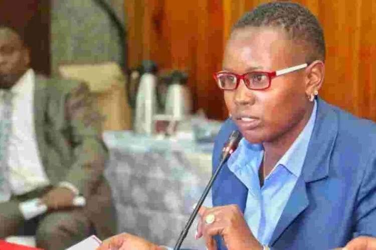 Senate Orders Recruitment Agency to Refund Sh1 Billion Paid by Youths