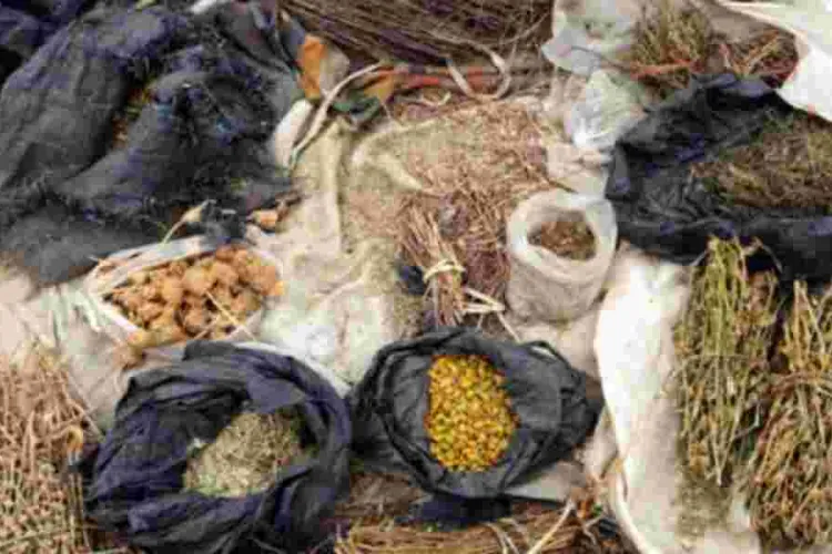 Ksh100,000 Fine For Kenyans Making Herbal Medicine Without Following Regulations