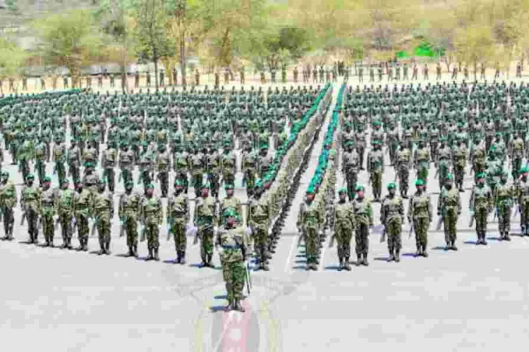 NYS Graduates Offered Job Openings in the United Kingdom
