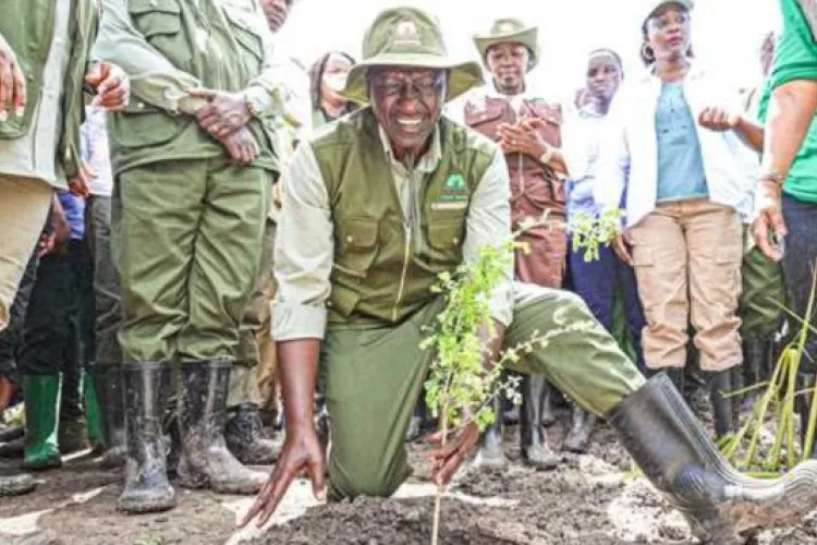 President Ruto's Environmental Leadership Lands Him on Time Magazine's Top 100 List 