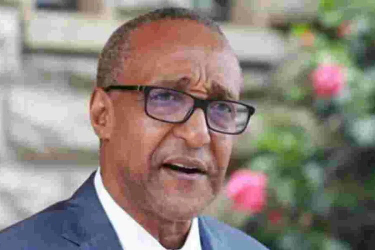 Former Foreign Affairs PS Slams JKIA, Calls it Stone Age Infrastructure 