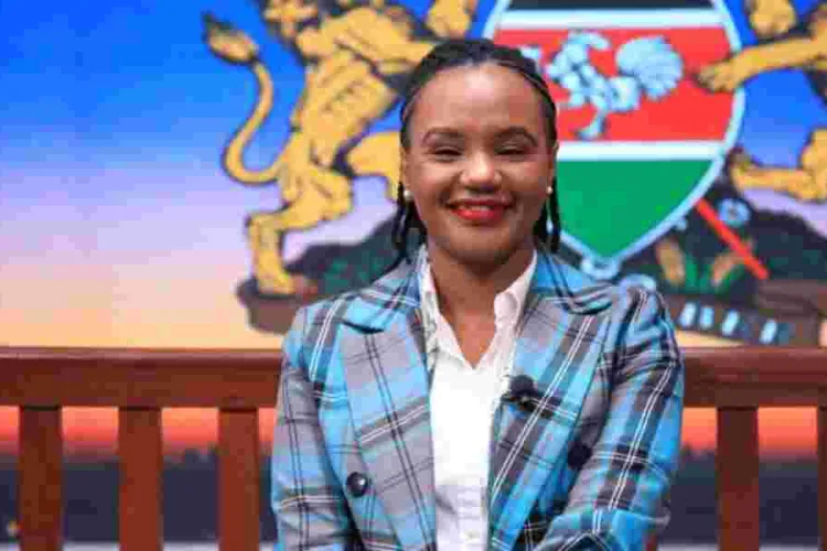 Government Puts in Place Structures to Attract Diaspora Investments