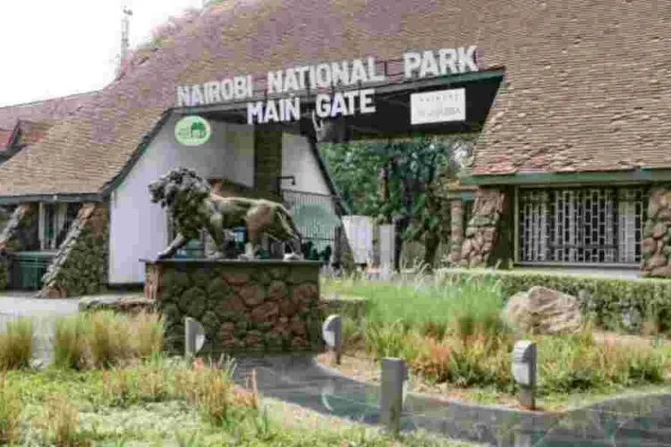 Kenya Govt Grants Free Entry to National Parks on Jamhuri Day