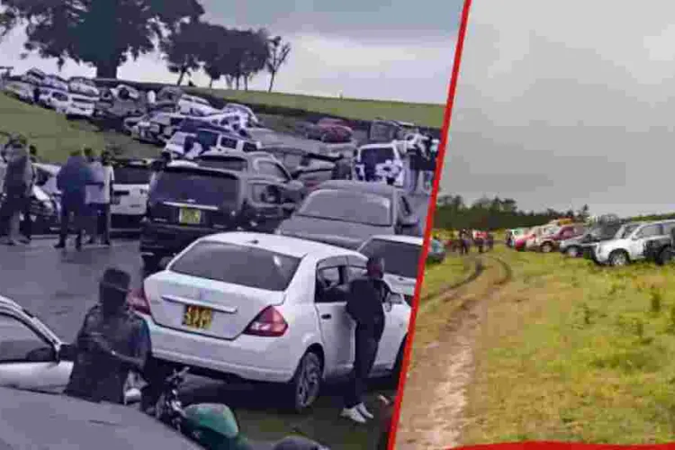 Government Cracks Down on Immoral Parties in Kiambu Tea Plantations