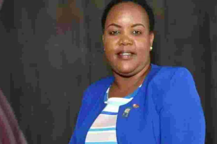 Government to Document Departure of Domestic Workers