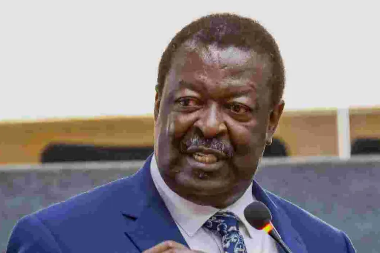 Mudavadi Pledges to Tap into Diaspora Resources for Economic Growth