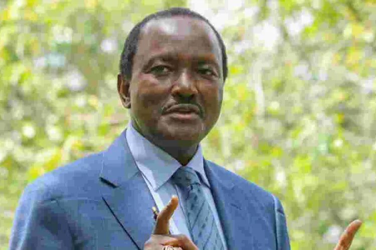 Kalonzo Musyoka and Martha Karua Clash Over Kamwene Meetings