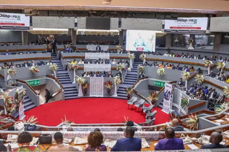 Strategies for Government to Leverage Diaspora Beyond Financial Contributions