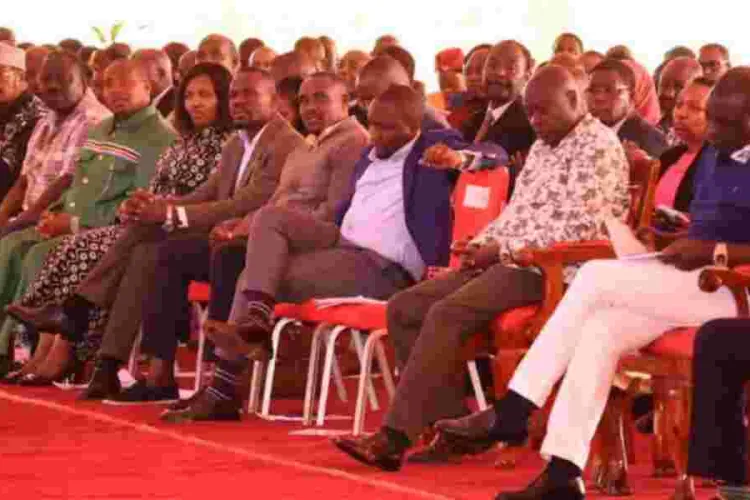 Kenya Kwanza MPs Under Fire for Neglecting Government Labor Deals