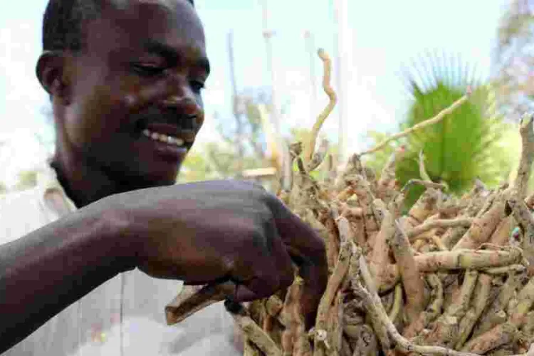 From Mukombero to Maasai Shuka: The Surprising Global Appeal of Kenya Household Items 