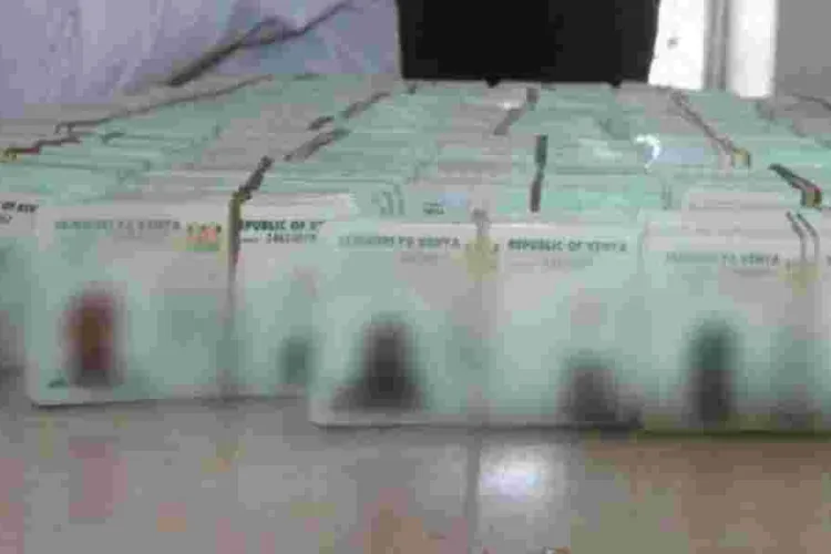 Court Clears Way for Maisha Namba Implementation