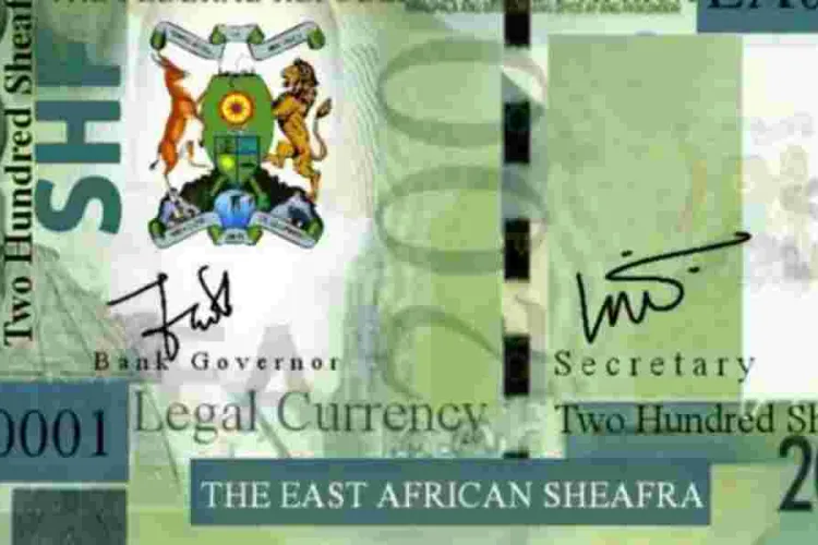 Kenyans React to the Launch of the East African Sheafra Currency 